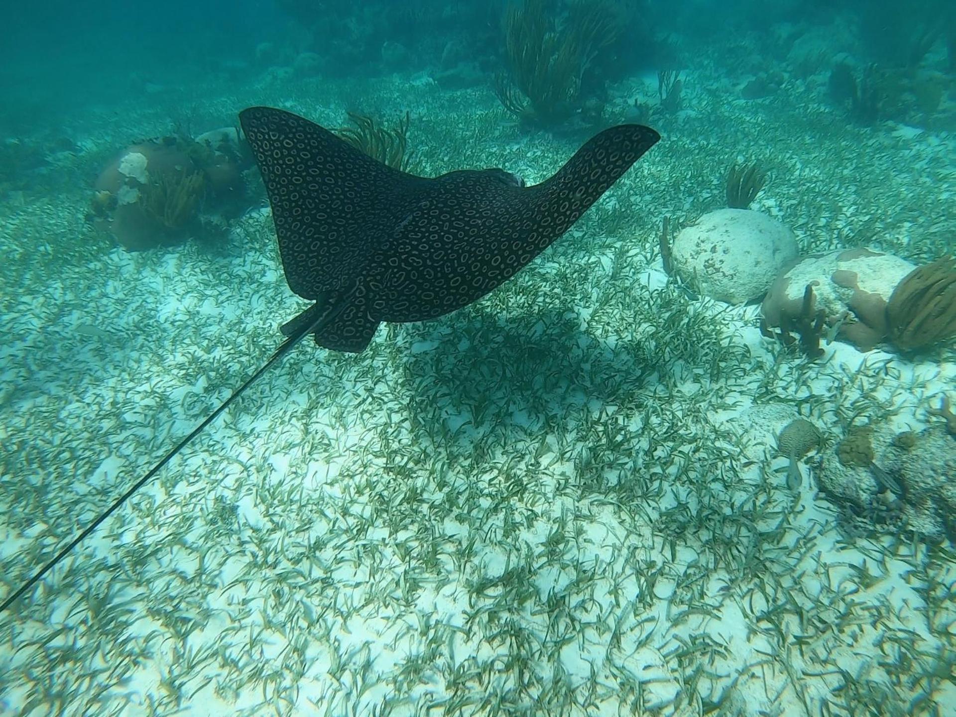 Alam B&B Marsa Alam Eksteriør bilde