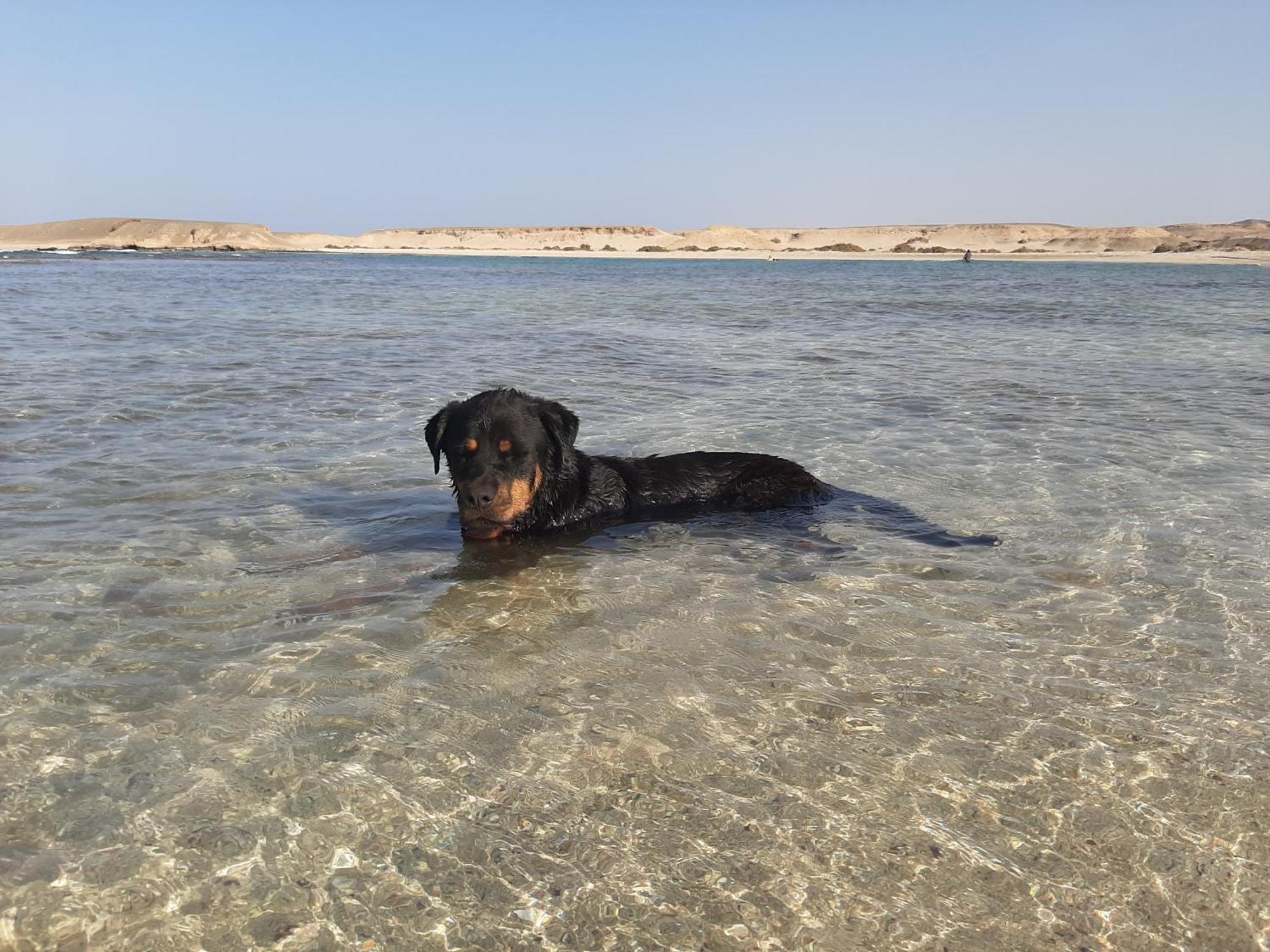 Alam B&B Marsa Alam Eksteriør bilde